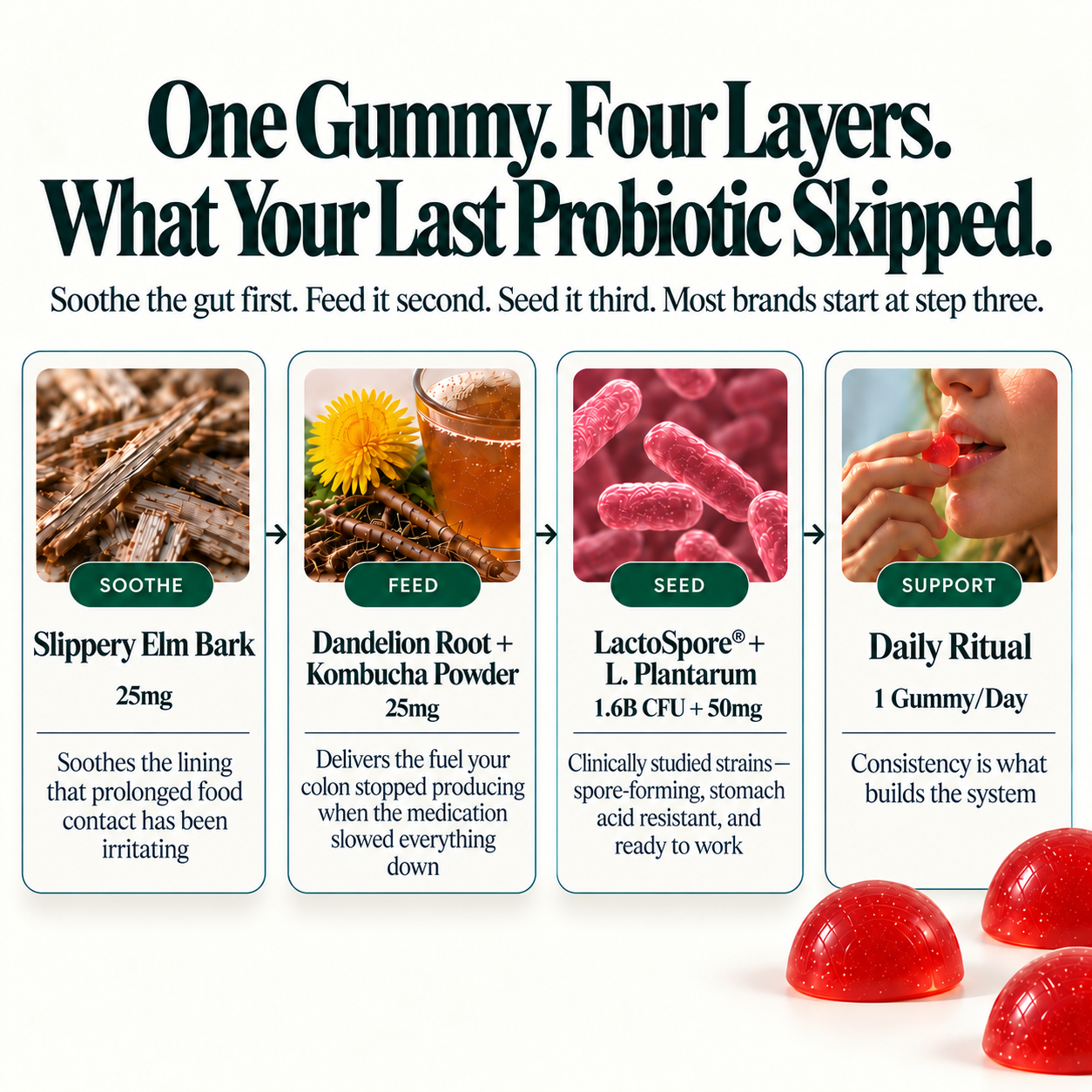 Probiotic Kombucha Gummies - Gut Support