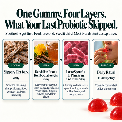 Probiotic Kombucha Gummies - Gut Support