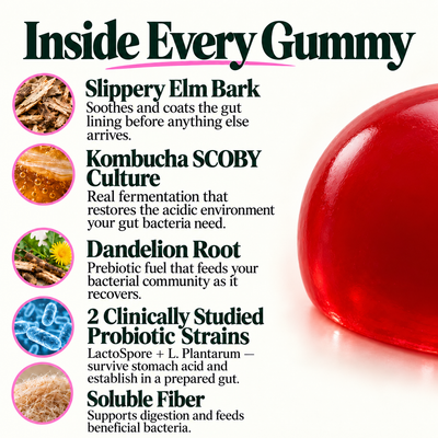 Probiotic Kombucha Gummies